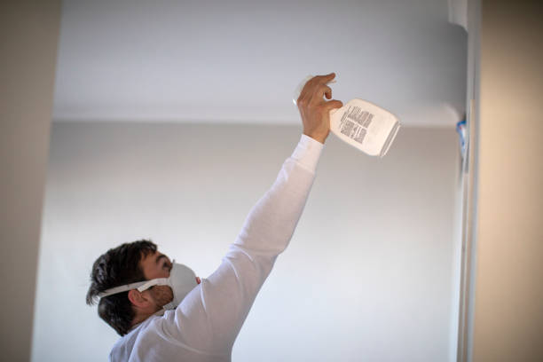 Best Attic Mold Remediation in Atlanta, IL