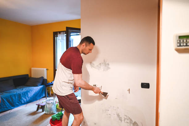 Best Residential Mold Remediation in Atlanta, IL